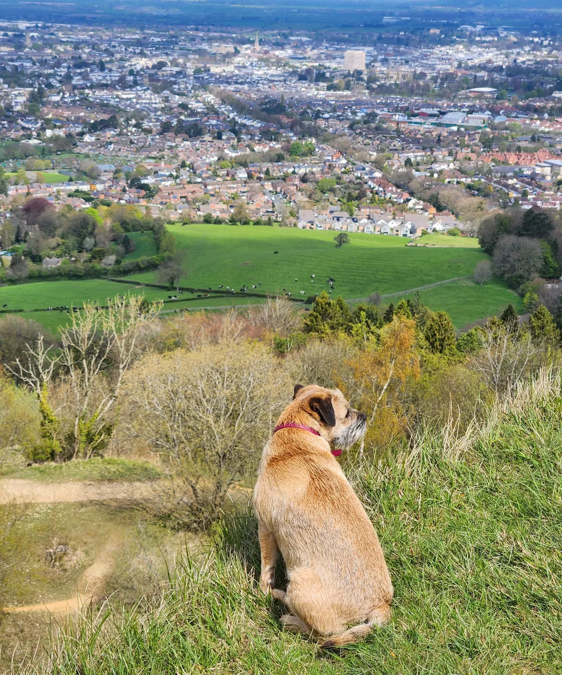 Cotswolds AONB