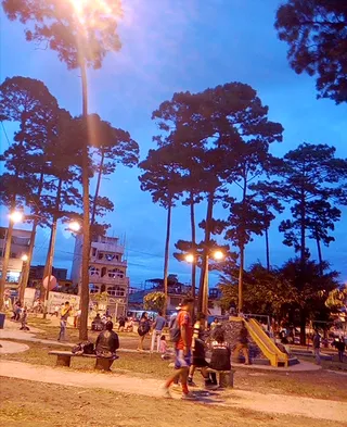 Parque Los Pinos