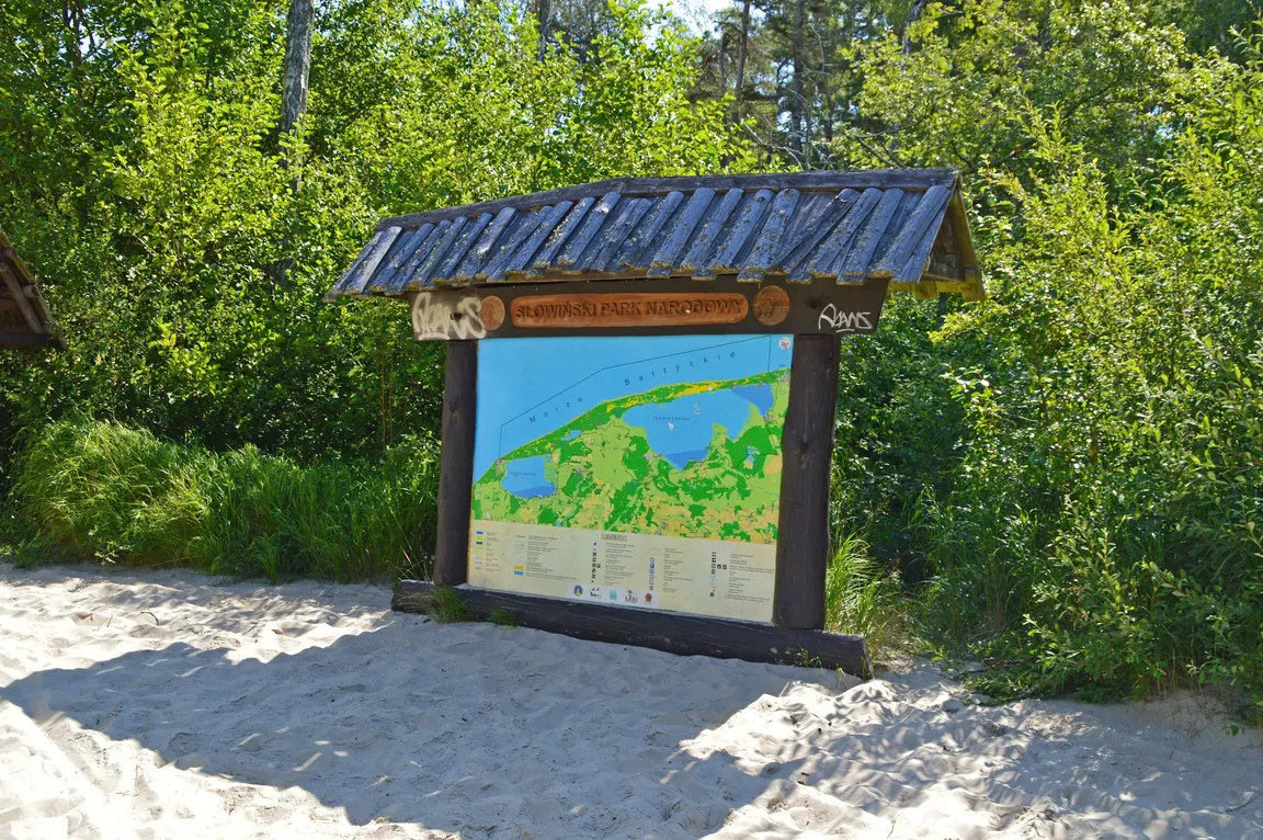 Wydma Łącka