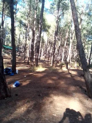 Camping