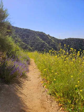 Wildwood Canyon Trailhead