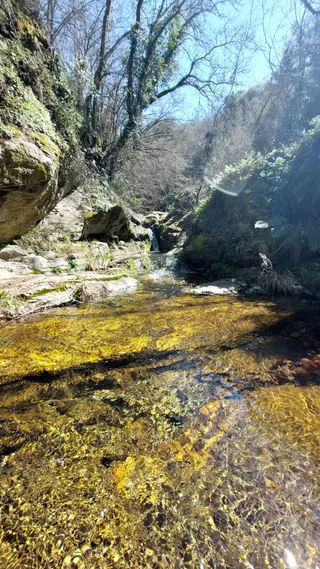 Skiritida Forest Hiking Trail