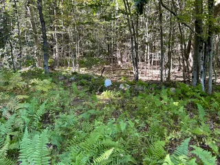 Mass Audubon's Road's End Wildlife Sanctuary