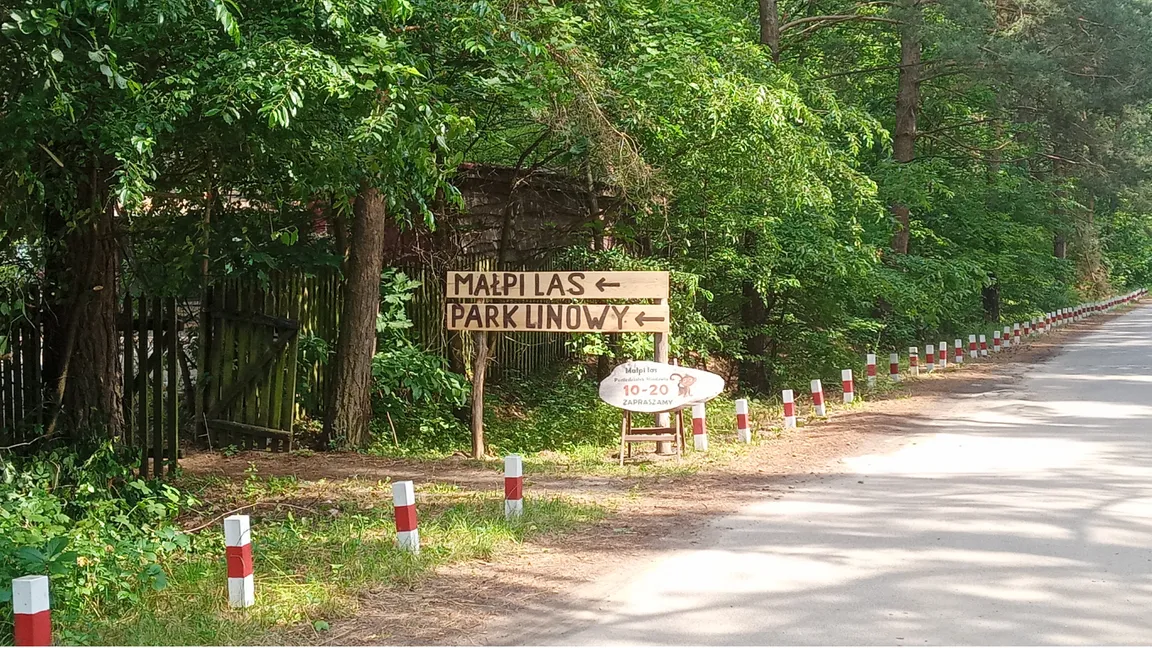 Park linowy Małpi Las