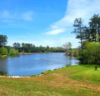 Panola Mountain State Park