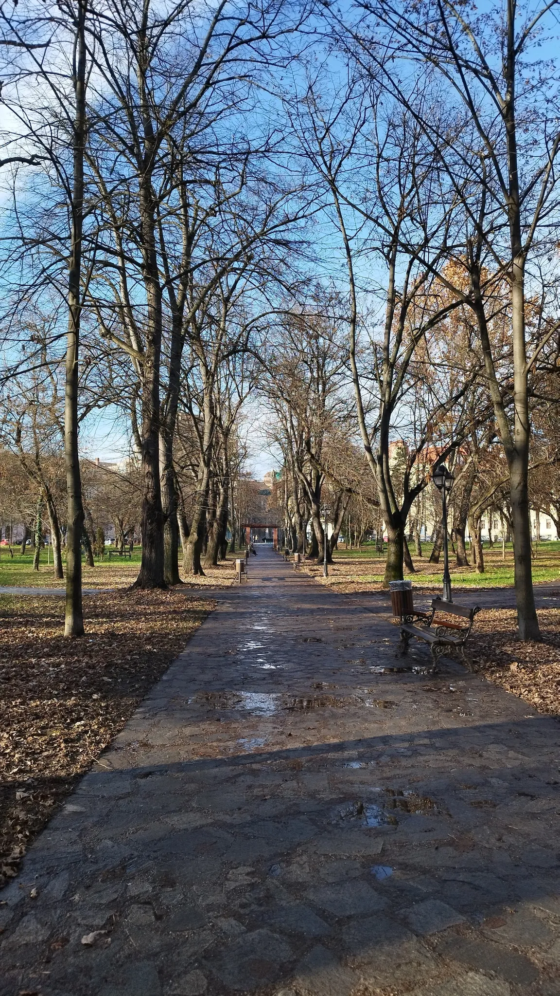 Parcul Civic