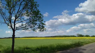 Monaster Narodzenia Przenajświętszej Bogurodzicy w Zwierkach