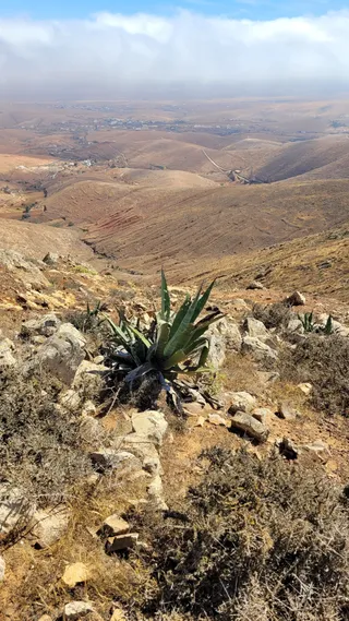 Morro de la Cruz