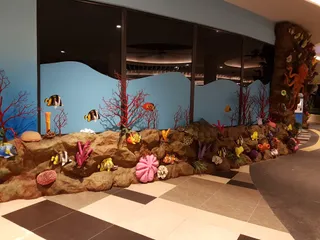Splash @ Kidz Amaze (SAFRA Punggol)