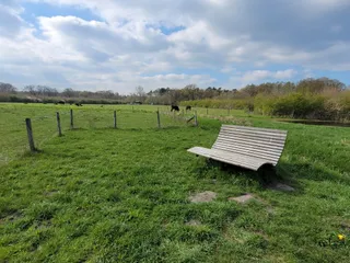 Aussichtsplattform Wildbahn Davert