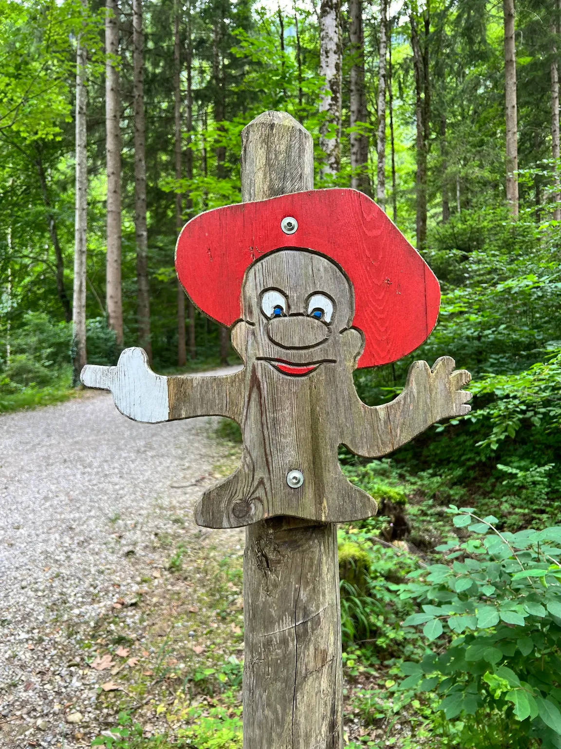 Bergwaldpfad