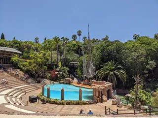 Jungle Park
