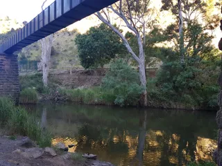 River Torrens Linear Reserve