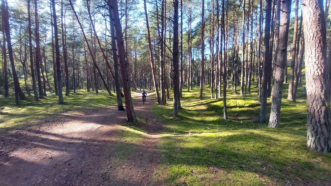 Szlak Rowerowy Ku Słońcu