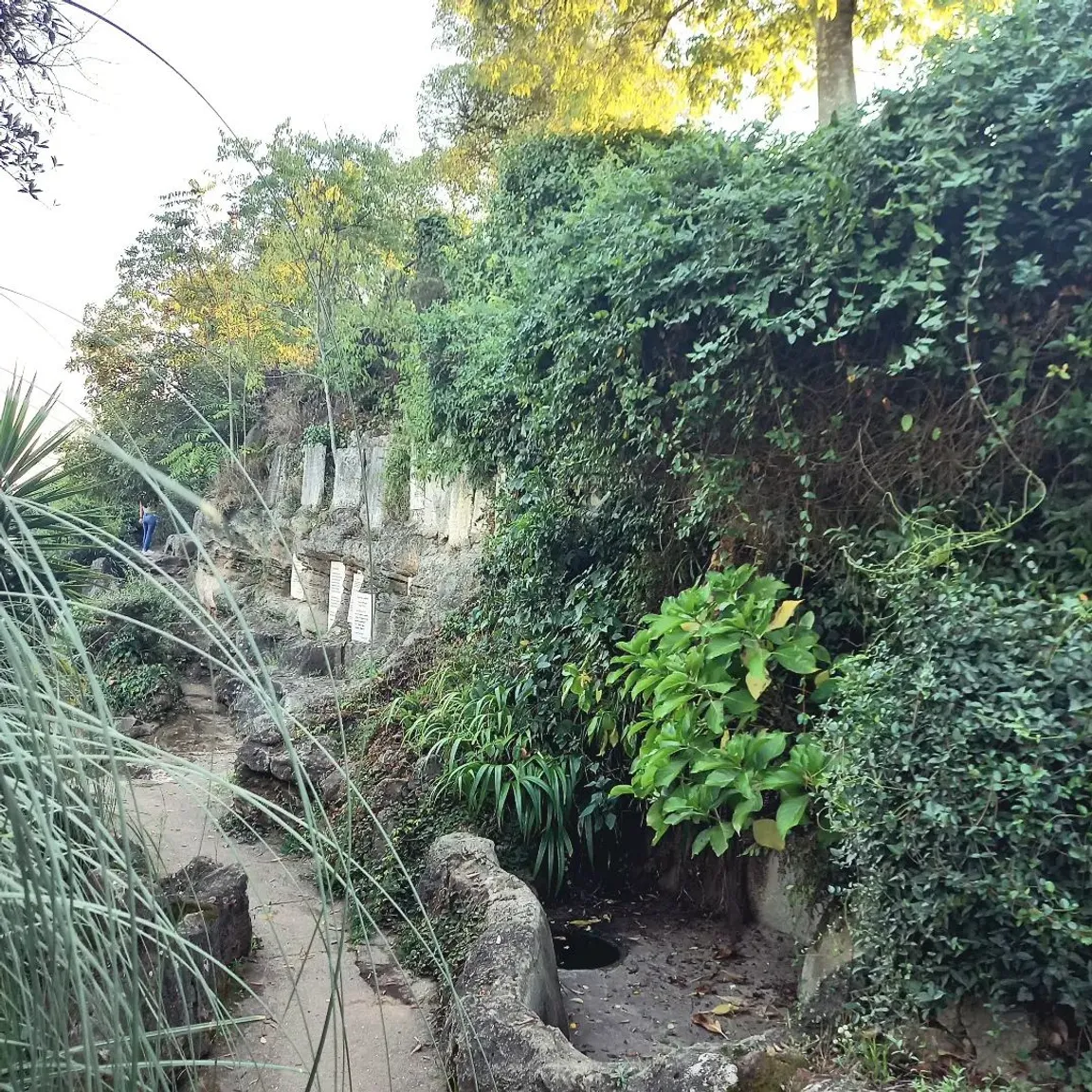 Miradouro do Penedo da Saudade