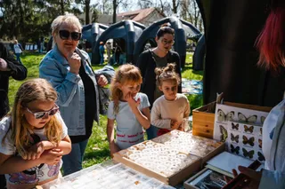EDUKACJA EKOLOGICZNA - WARSZTATY, PIKNIKI EKOLOGICZNE, KAMPANIE EDUKACYJNO - INFORMACYJNE