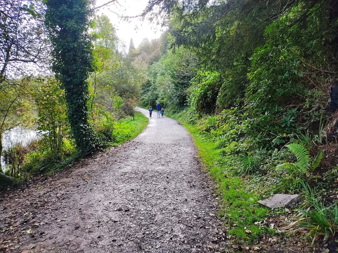 Penllergare Valley Woods