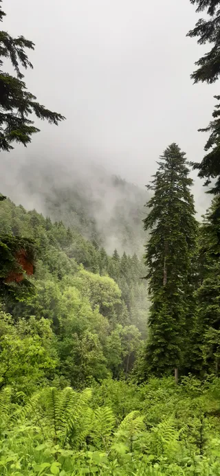 Streckereck