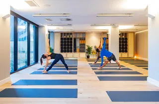 Virgin Active Bligh Street Gym
