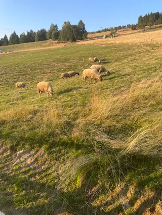 Zajazd Zieleńska Polana