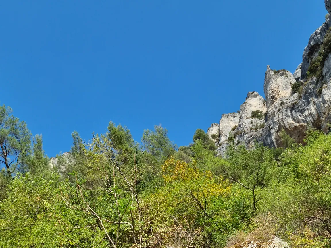 Vaucluse Spring