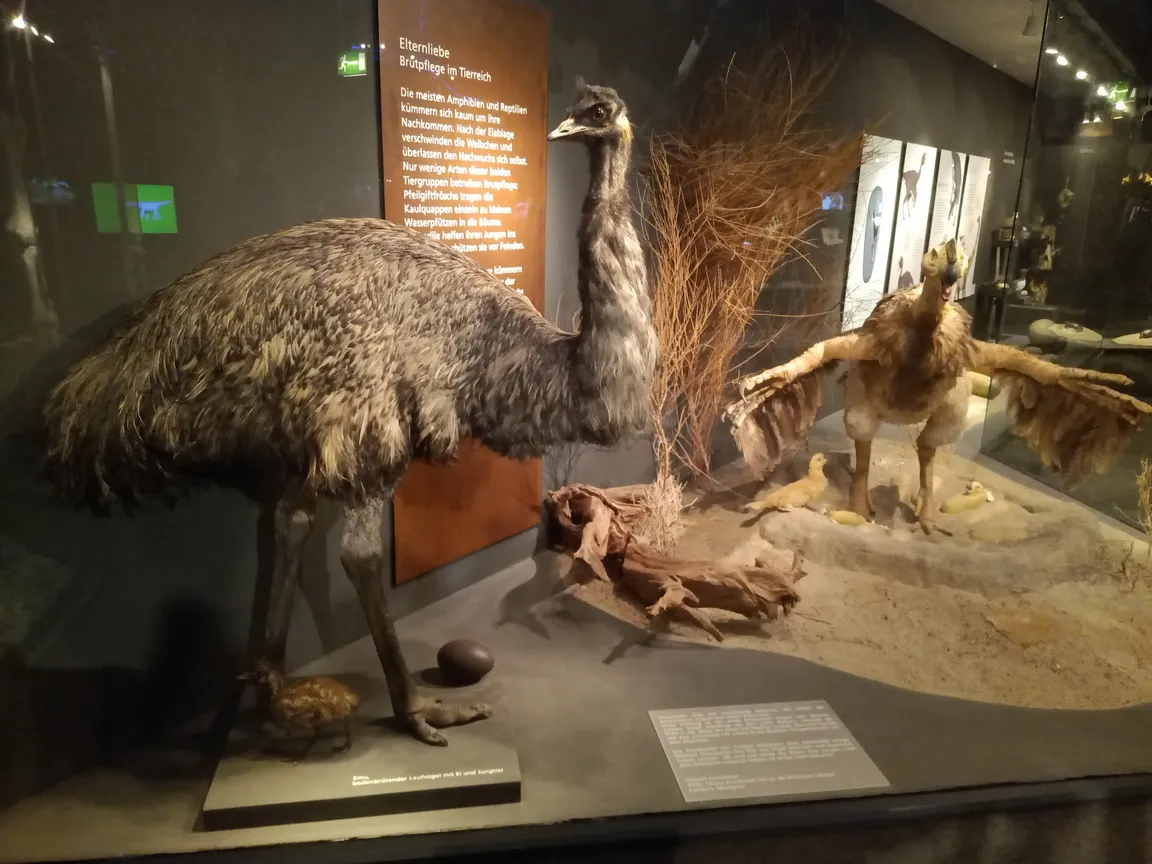 LWL Museum of Natural History with Planetarium