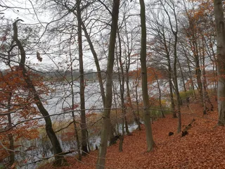 Jezioro Wilczkowo