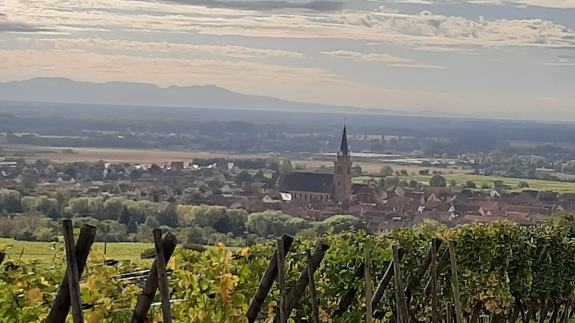 Alsace Evasion