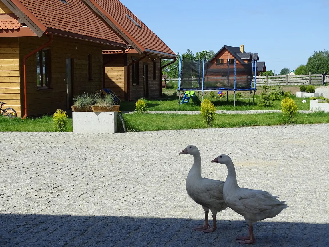 Agroturystyka "Leśny Gród"