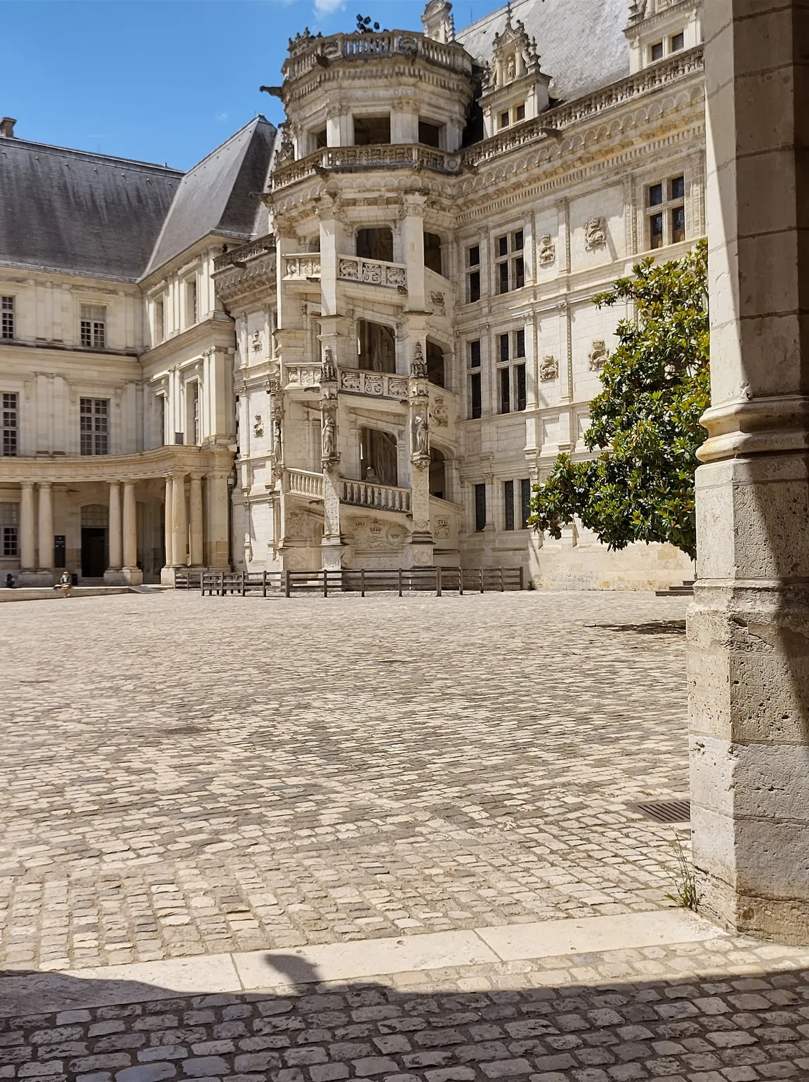Zamek w Blois