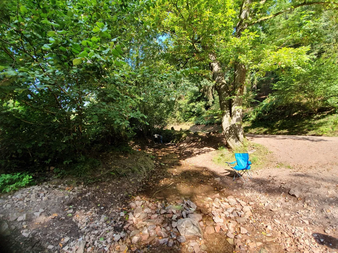 Ramscombe Great Wood