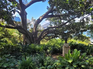 Wendy Whiteley's Secret Garden