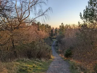 New Fancy View Point