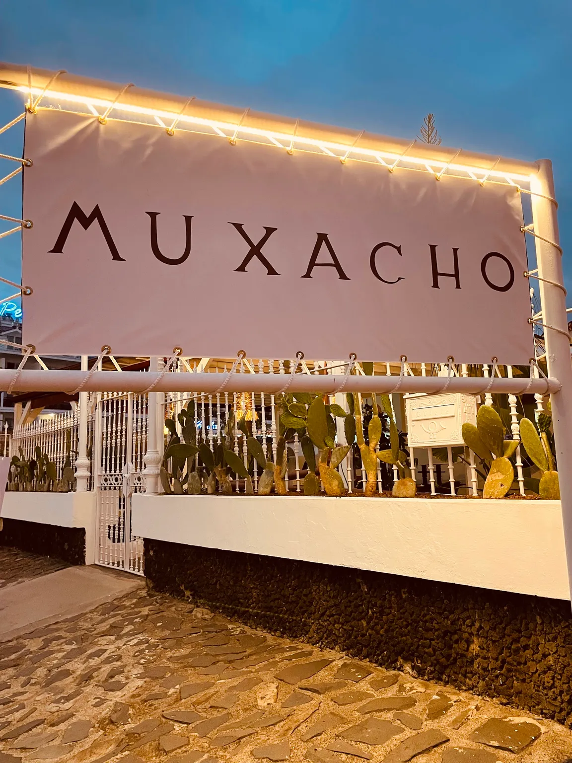 Muxacho