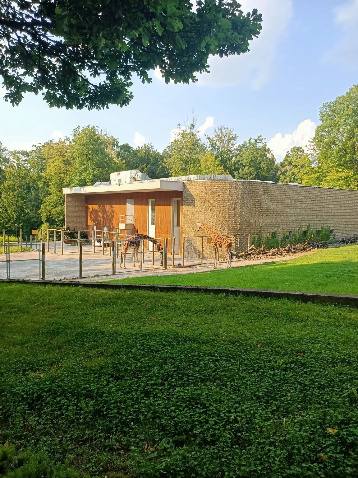 Ogród Zoologiczny w Krakowie