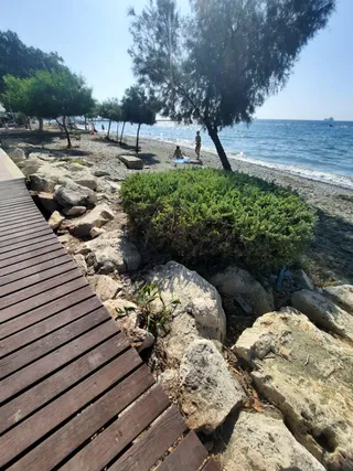 Λεμεσό Ζακάκι