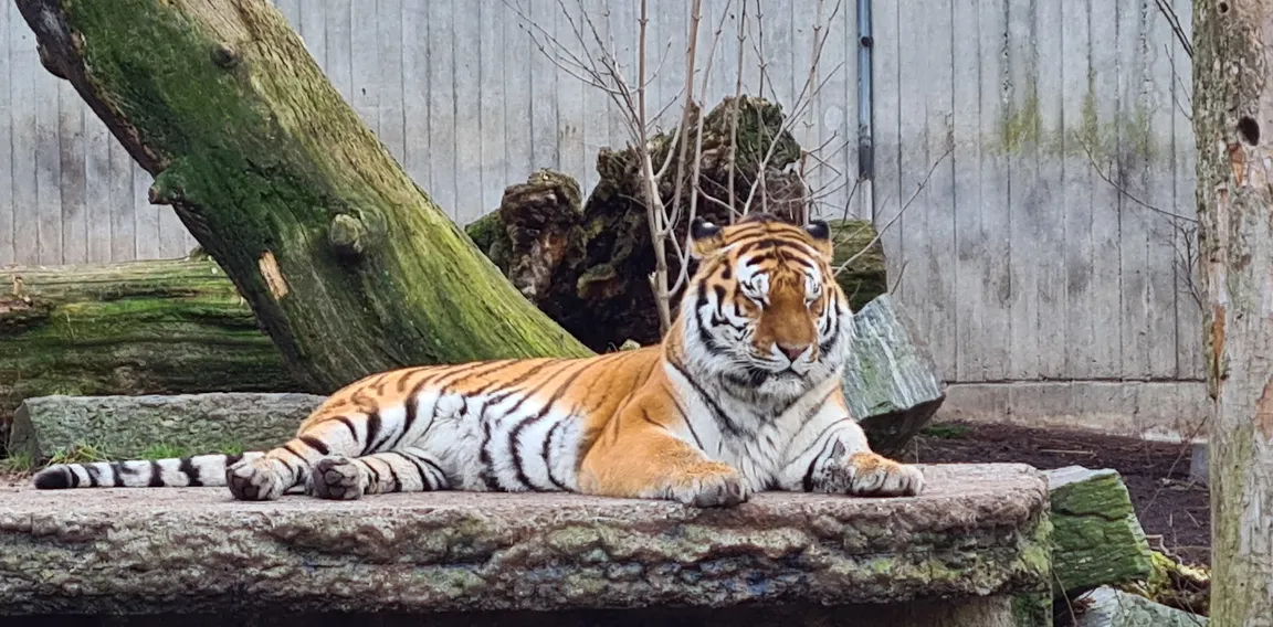 Copenhagen Zoo