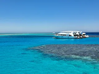 Dolphin House Hurghada