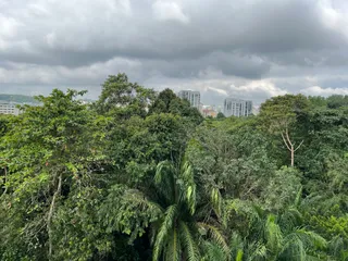 Chestnut Nature Park