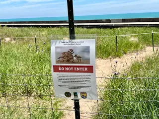 Montrose Beach Dunes Natural Area