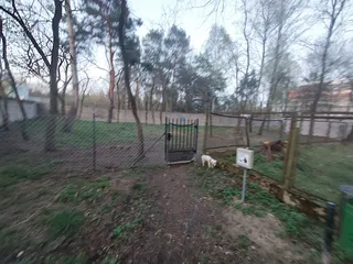 Wybieg dla psów UM Zielonka