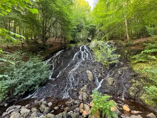 Comrie Croft