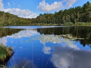 Park Narodowy Müritz