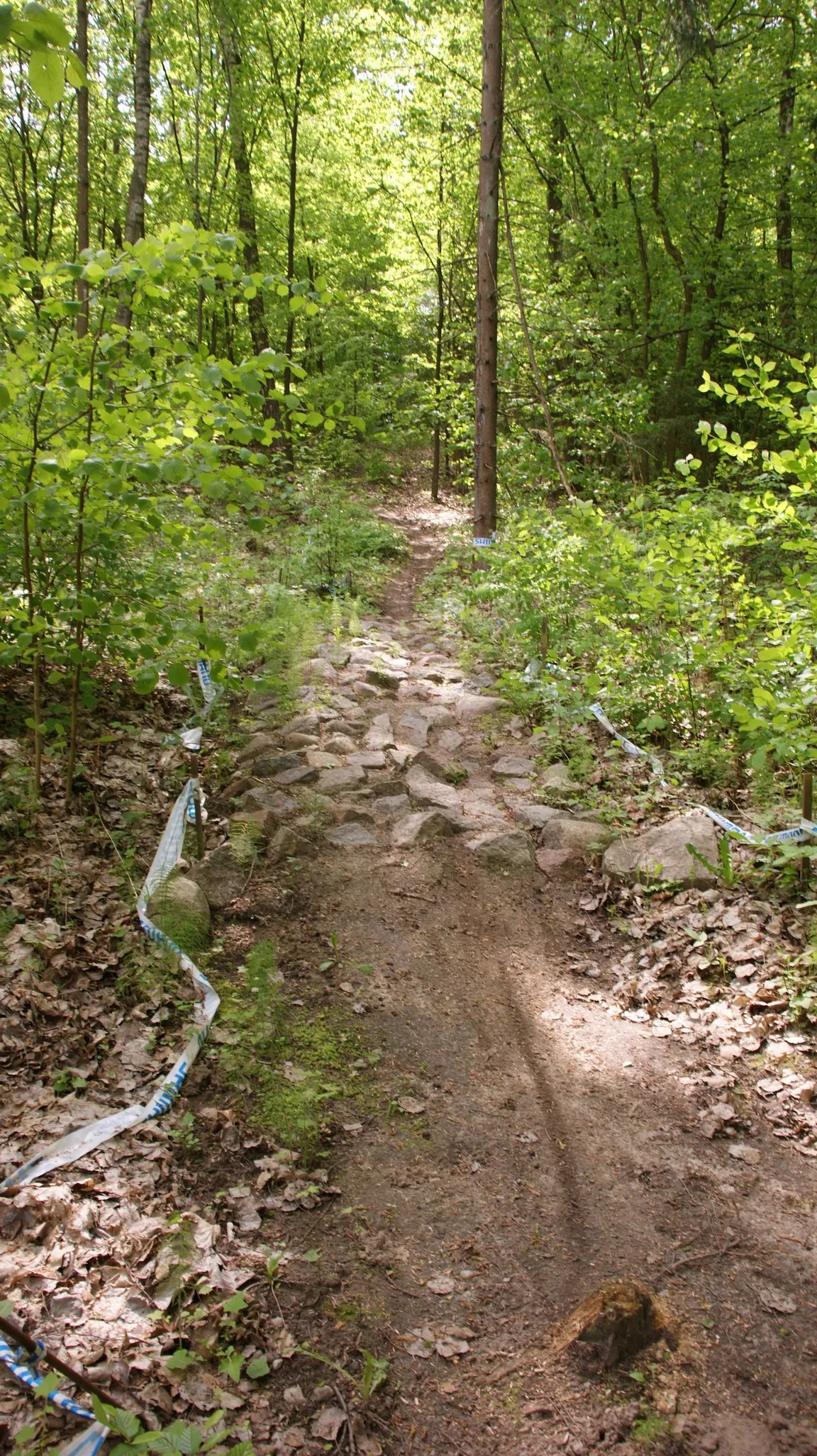 Bike Park Poręby