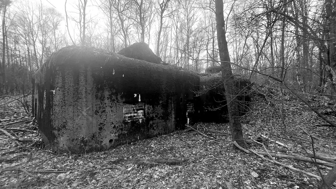 Schron bojowy nr 44, Obszar Warowny Śląsk Schron Diabła