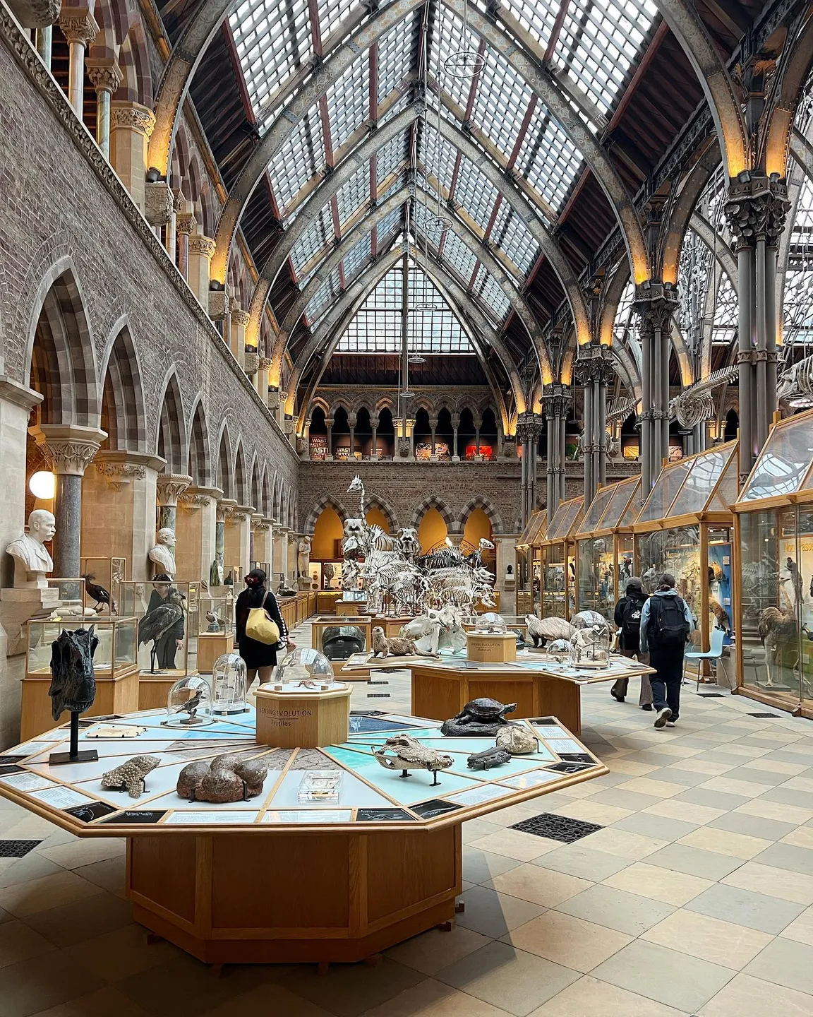 Oxford University Museum of Natural History