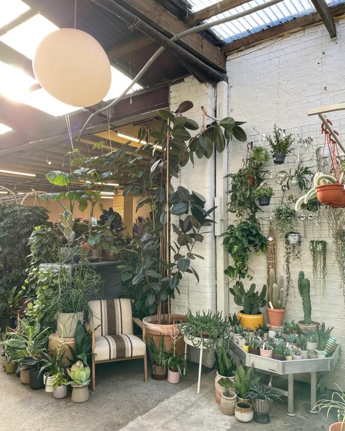 Conservatory Archives Middleton Mews