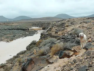 Barranco de la Muley