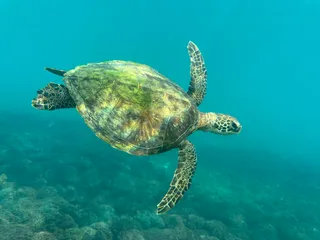 MolaMola Diving Center (Al Mouj) - Best Snorkeling & Scuba Diving Center in Muscat, Oman