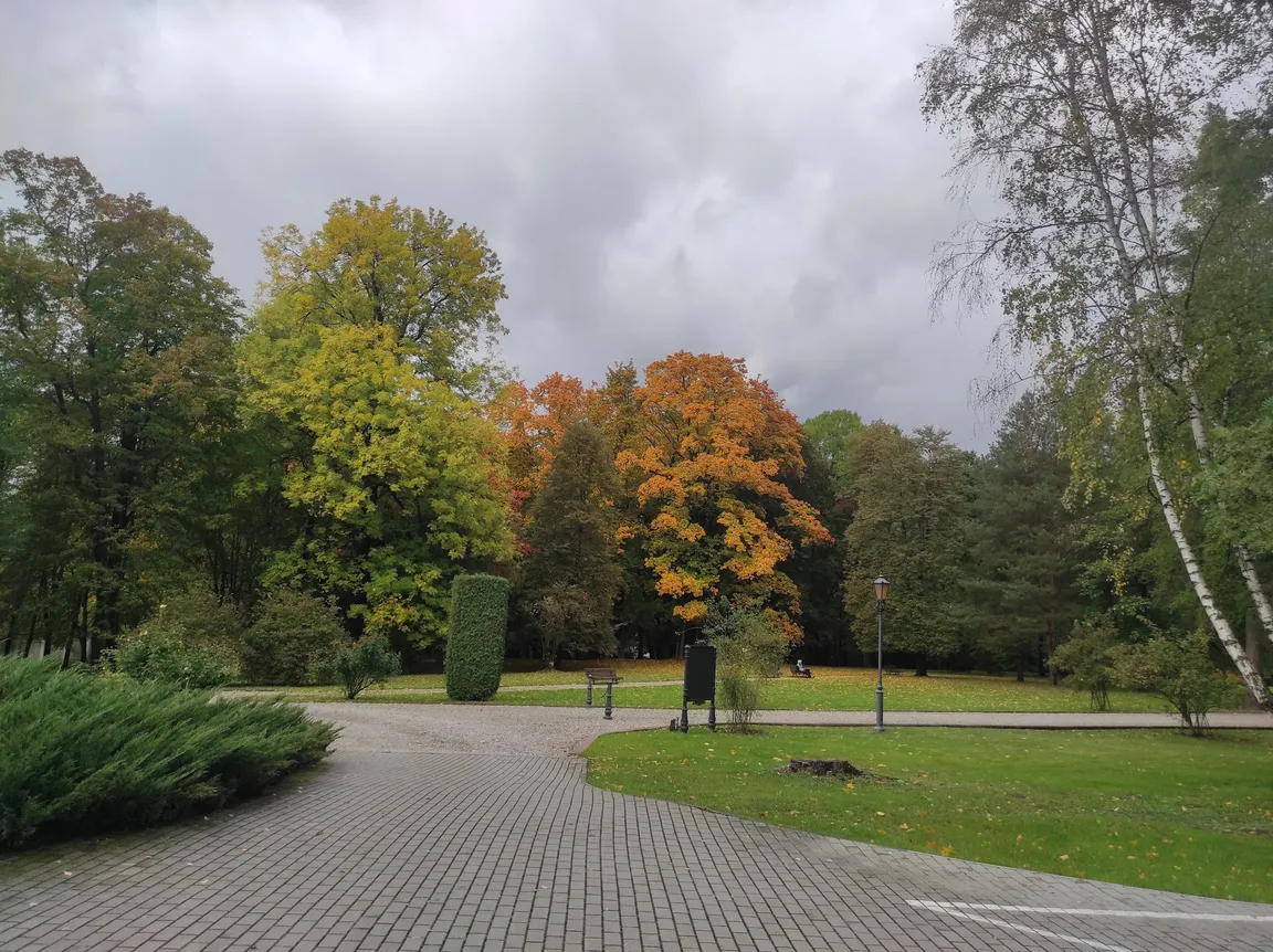 Zamek w Przecławiu